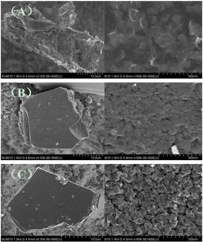 Preparation method and application of primordial water hyacinth biomass carbon porous electrode material