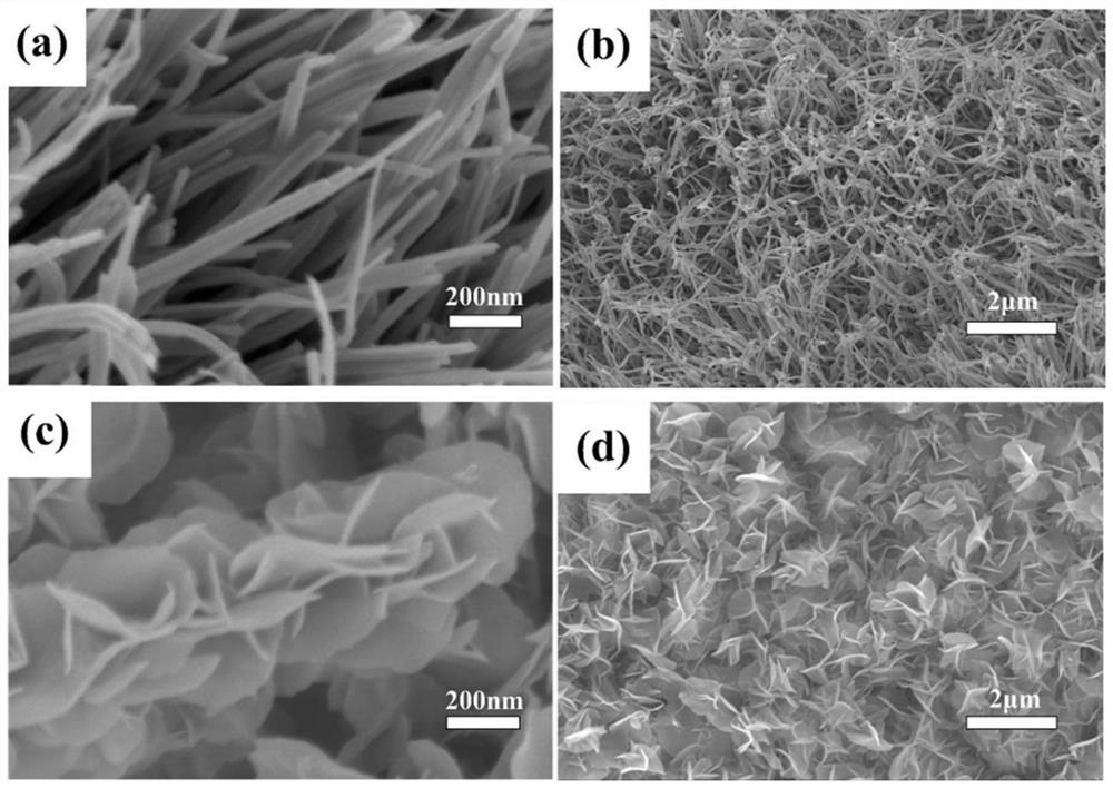 Gladiolus flower-like nickel selenide/cobalt selenide/nickel diselenide nanocomposite array electrode material