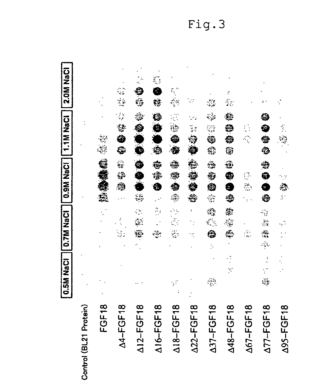 Mutant growth factors with altered receptor specificities and pharmaceutical composition comprising the same