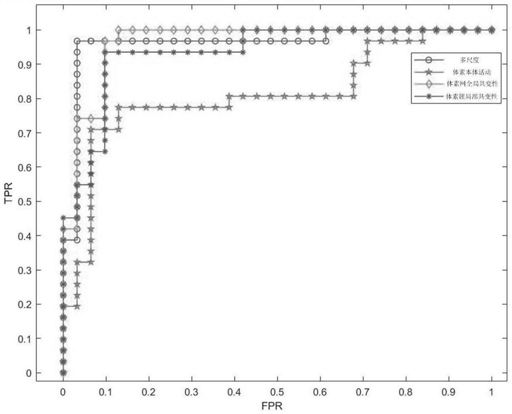 Multi-scale information fused brain resting state functional magnetic resonance data classification method and system and computer readable medium