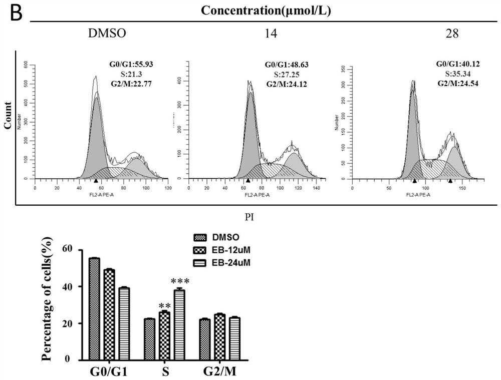 Application of Yemazhui sesquiterpene lactone b in the preparation of anti-liver cancer drugs and an anti-liver cancer drug