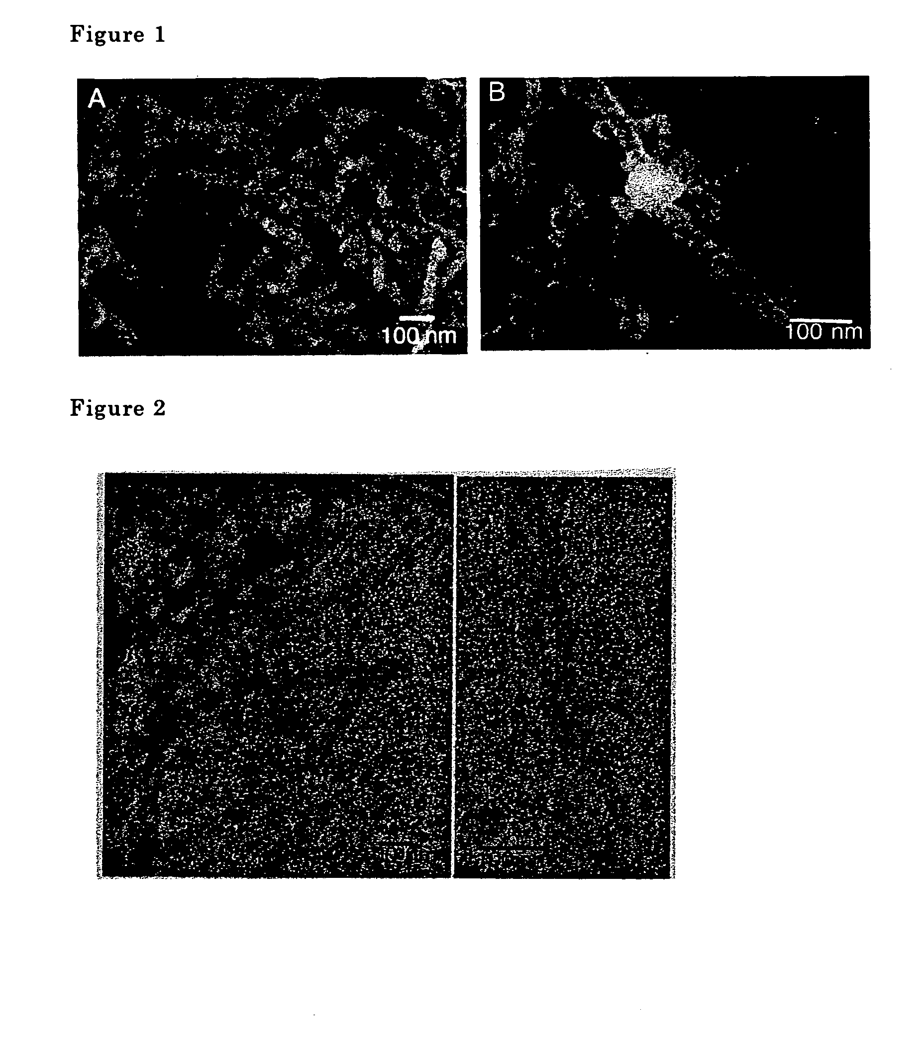 Metal oxide nanotube and process for production thereof