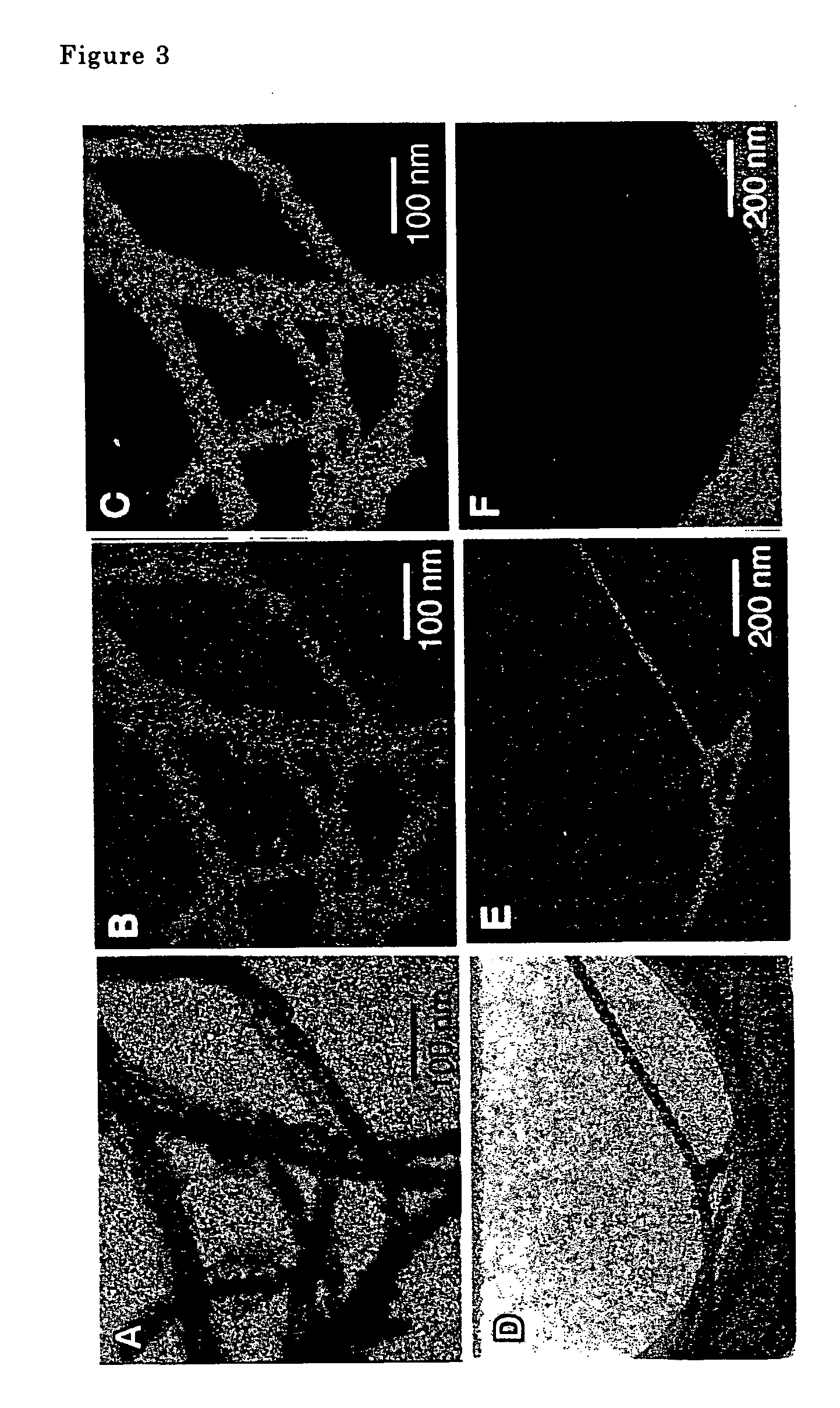 Metal oxide nanotube and process for production thereof