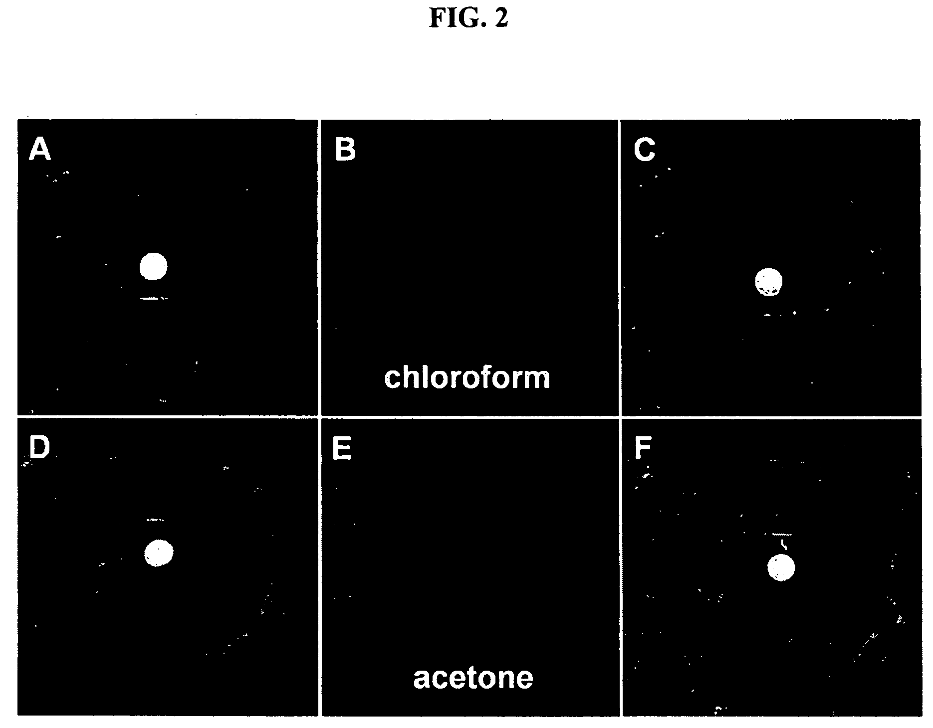 Environment sensor and conjugated polyene for manufacturing environment sensors