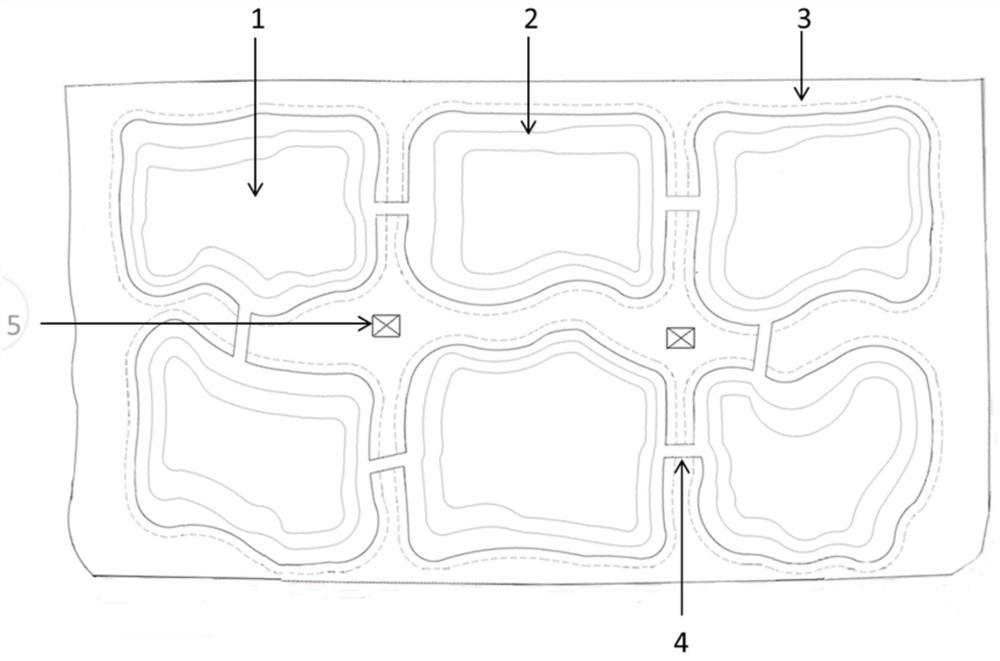 A method for constructing an ecological farm and pasture model to improve the productivity of coastal saline soil