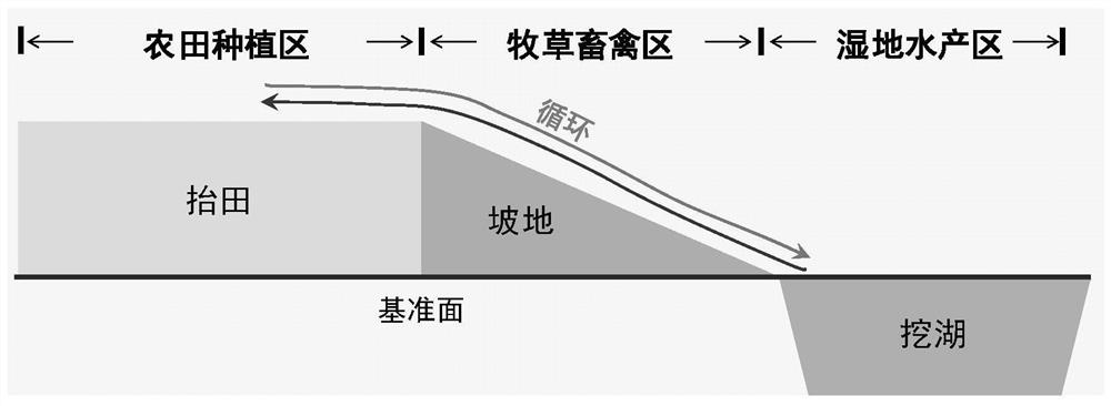 A method for constructing an ecological farm and pasture model to improve the productivity of coastal saline soil