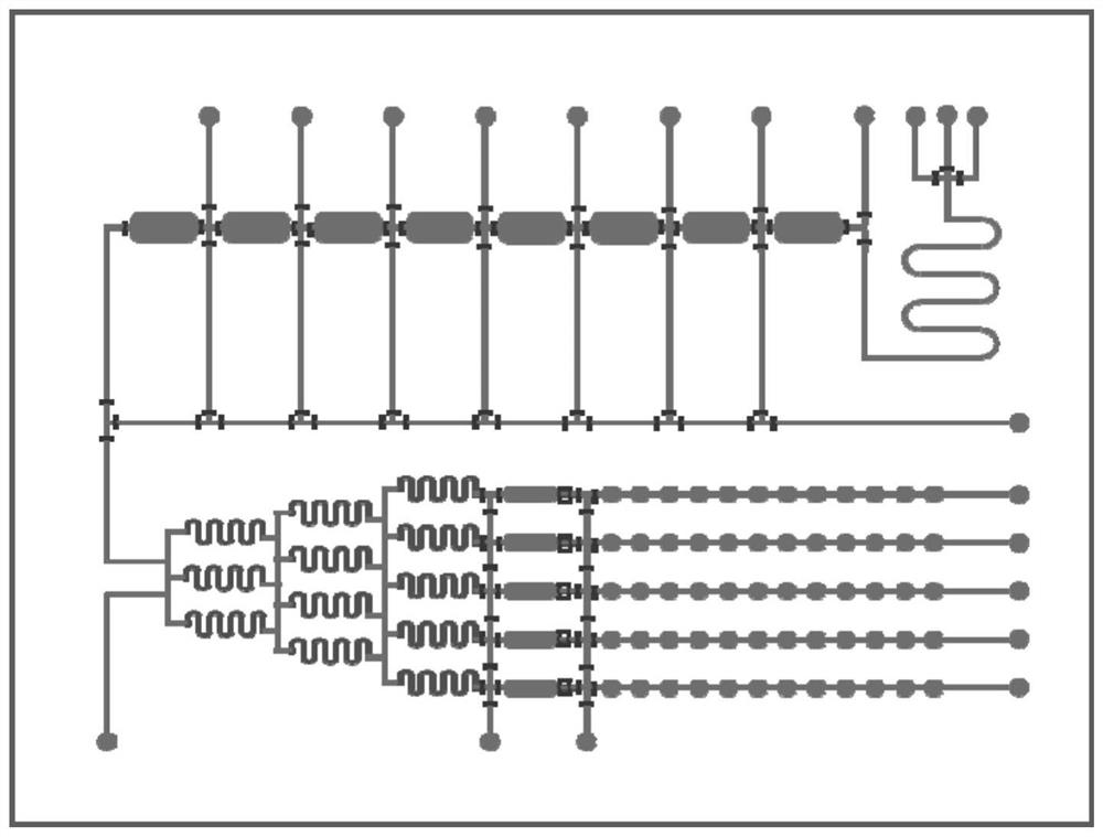 Micro-fluidic chip