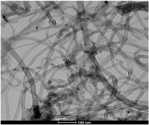 Preparation method and application of defective carbon nanotubes