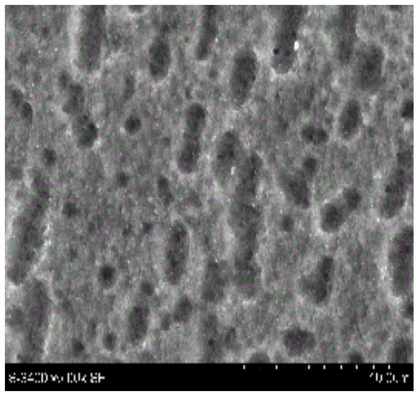 Preparation method of titanium oxide nanotube array-silver composite coating material