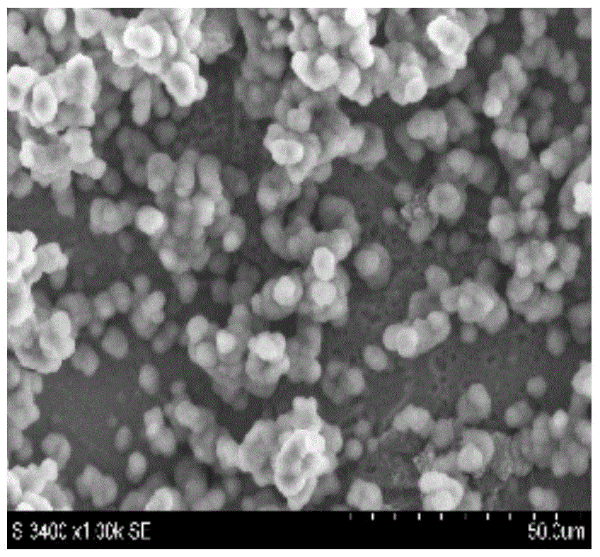 Preparation method of titanium oxide nanotube array-silver composite coating material