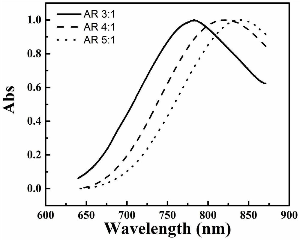 Telomerase activity detection kit and detection method