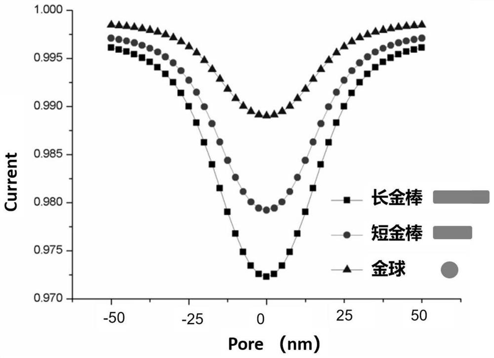 Telomerase activity detection kit and detection method