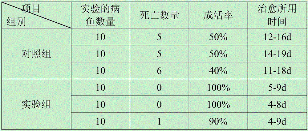 Preparation for treating hemorrhagic rot disease of channel catfish and preparing method of preparation