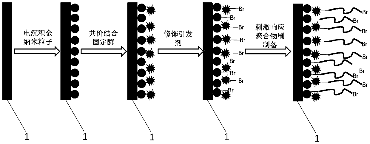 A flexible glucose oxidase electrode in response to pH stimulation and its construction method