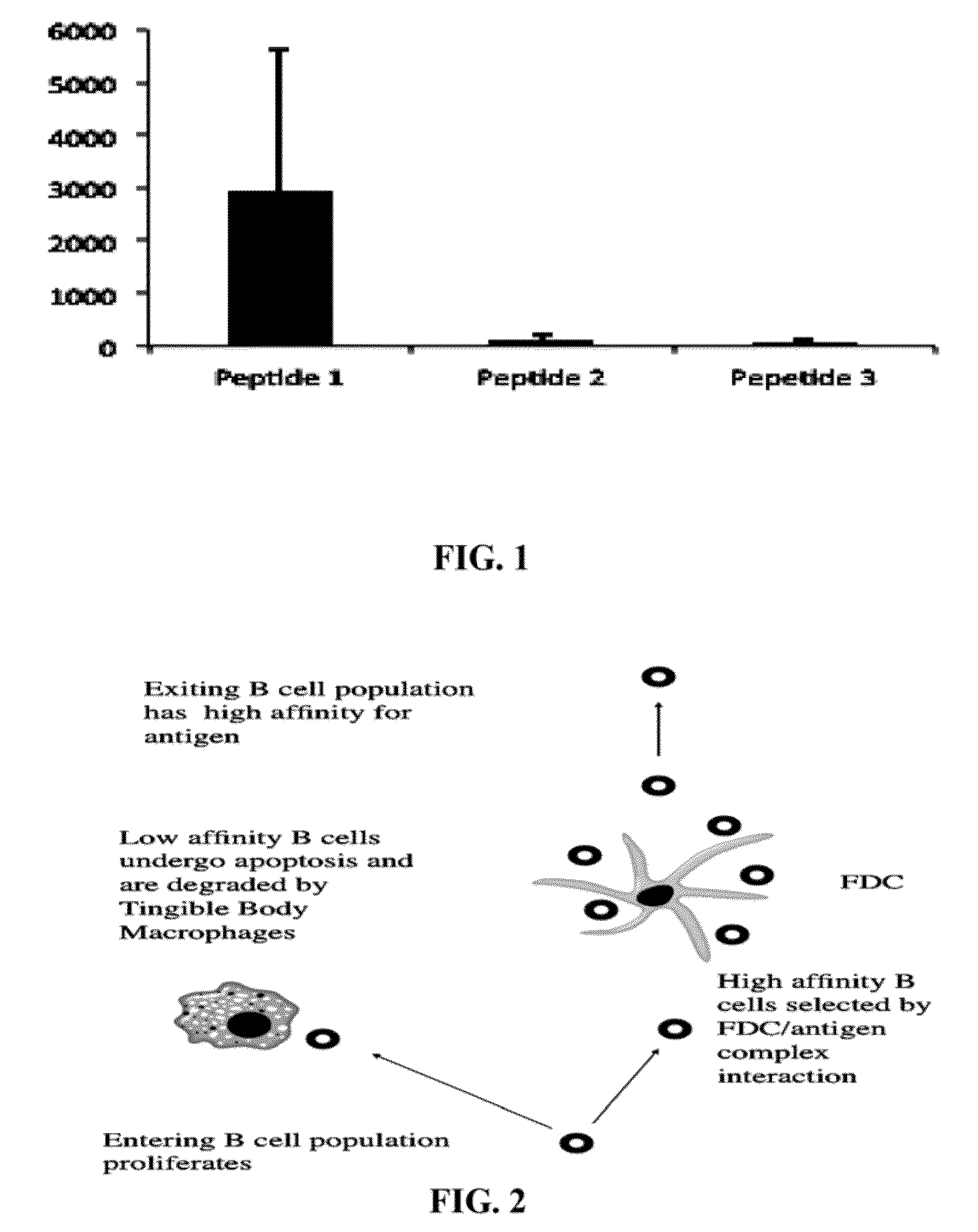 In vitro system for generation of antigen-specific immune responses