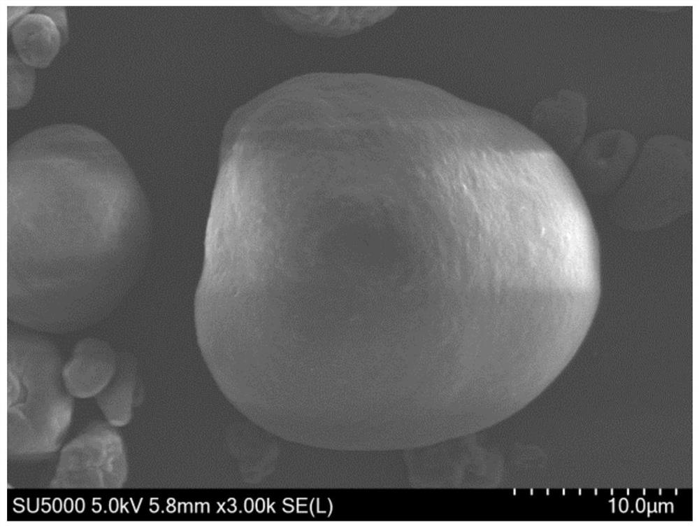 Synthesis method of active bromine-containing bagasse xylan ester-g-AM