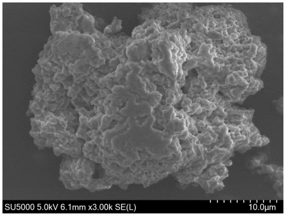 Synthesis method of active bromine-containing bagasse xylan ester-g-AM