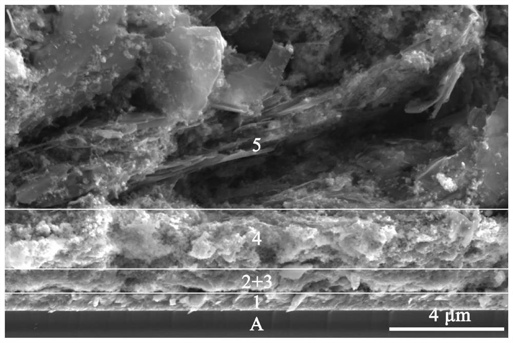 Carbon-based full-printing perovskite solar cell based on ionic liquid additive and preparation method ofcarbon-based full-printing perovskite solar cell