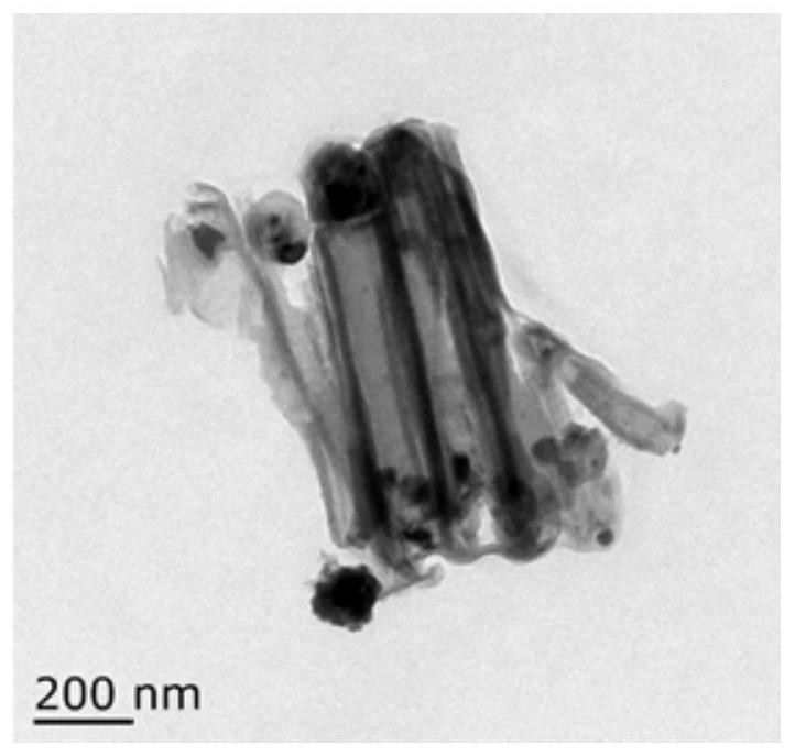 Electrochemical Preparation of Aligned Carbon Nanotubes Embedded with Copper Nanoparticles