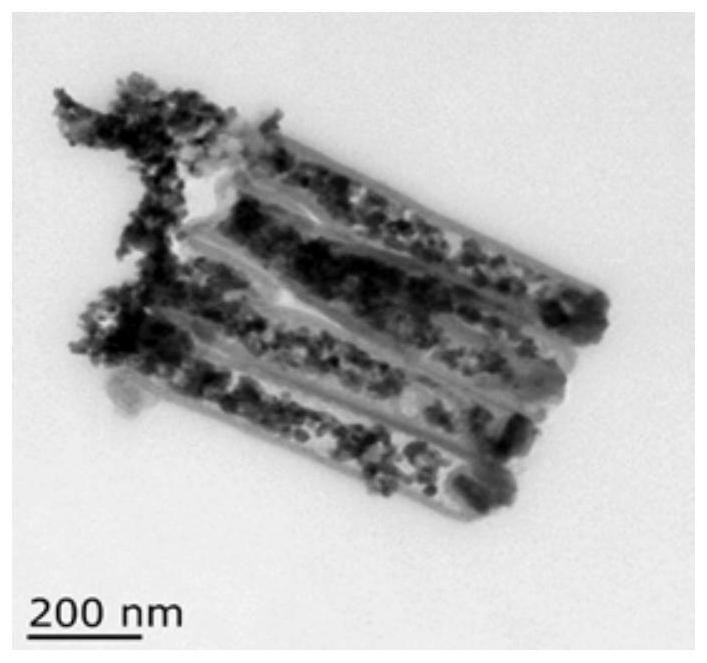 Electrochemical Preparation of Aligned Carbon Nanotubes Embedded with Copper Nanoparticles