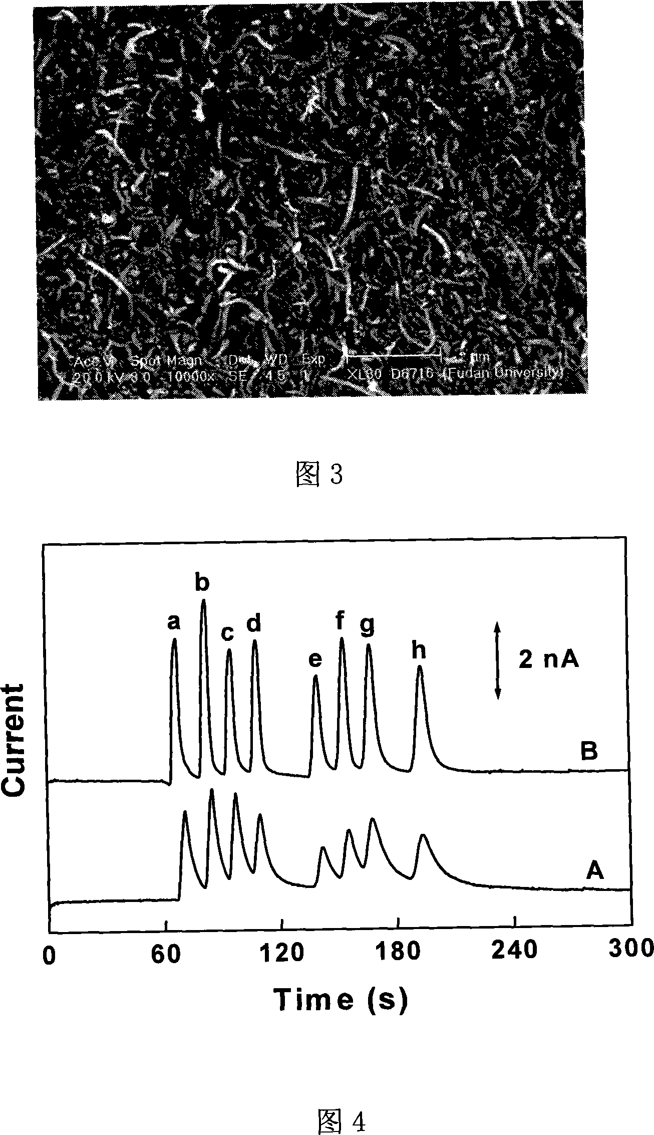 Polymethyl methacryate and carbon nano-tube compound material electric pole and method for making same