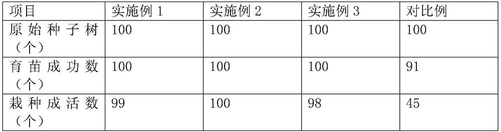 Walnut seedling planting method