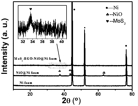 MoS2-RGO-NiO@Ni foam composite photoelectrocatalytic hydrogen evolution material and preparation method thereof