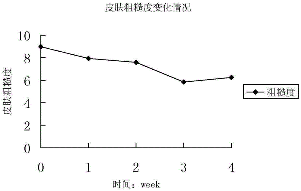 Skin care composition with anti-acne effect, preparation and preparation method thereof