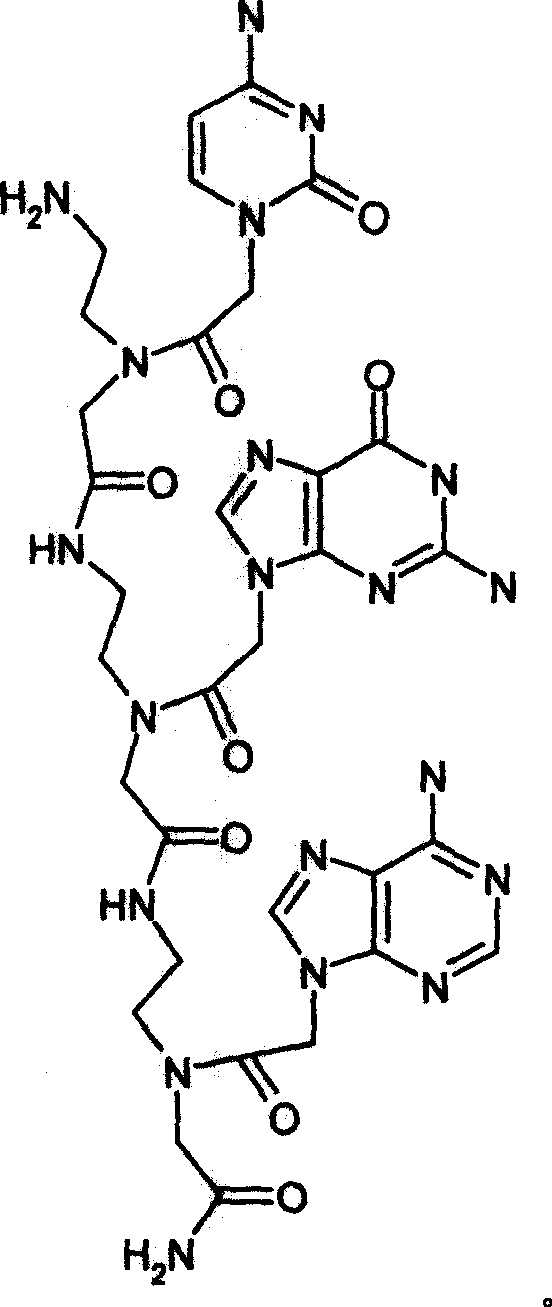 Method for constructing gene probe by using water-soluble conjugated polymer-as sensitized material