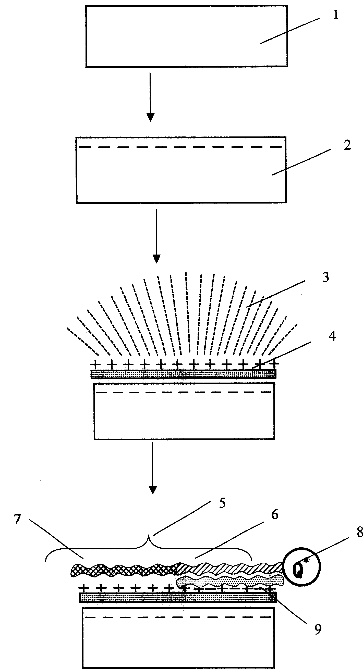 Method for constructing gene probe by using water-soluble conjugated polymer-as sensitized material