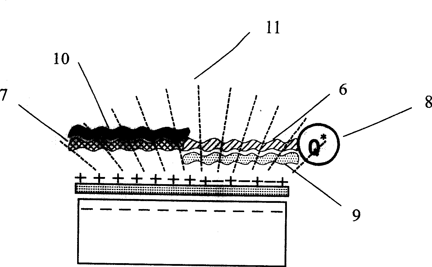 Method for constructing gene probe by using water-soluble conjugated polymer-as sensitized material