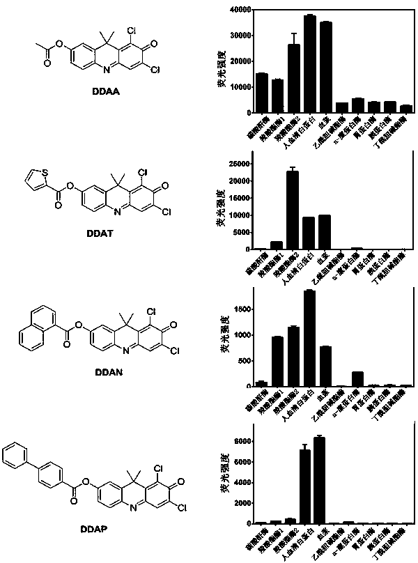 Application of a Class of Highly Specific Fluorescent Probes for Detecting Human Serum Albumin