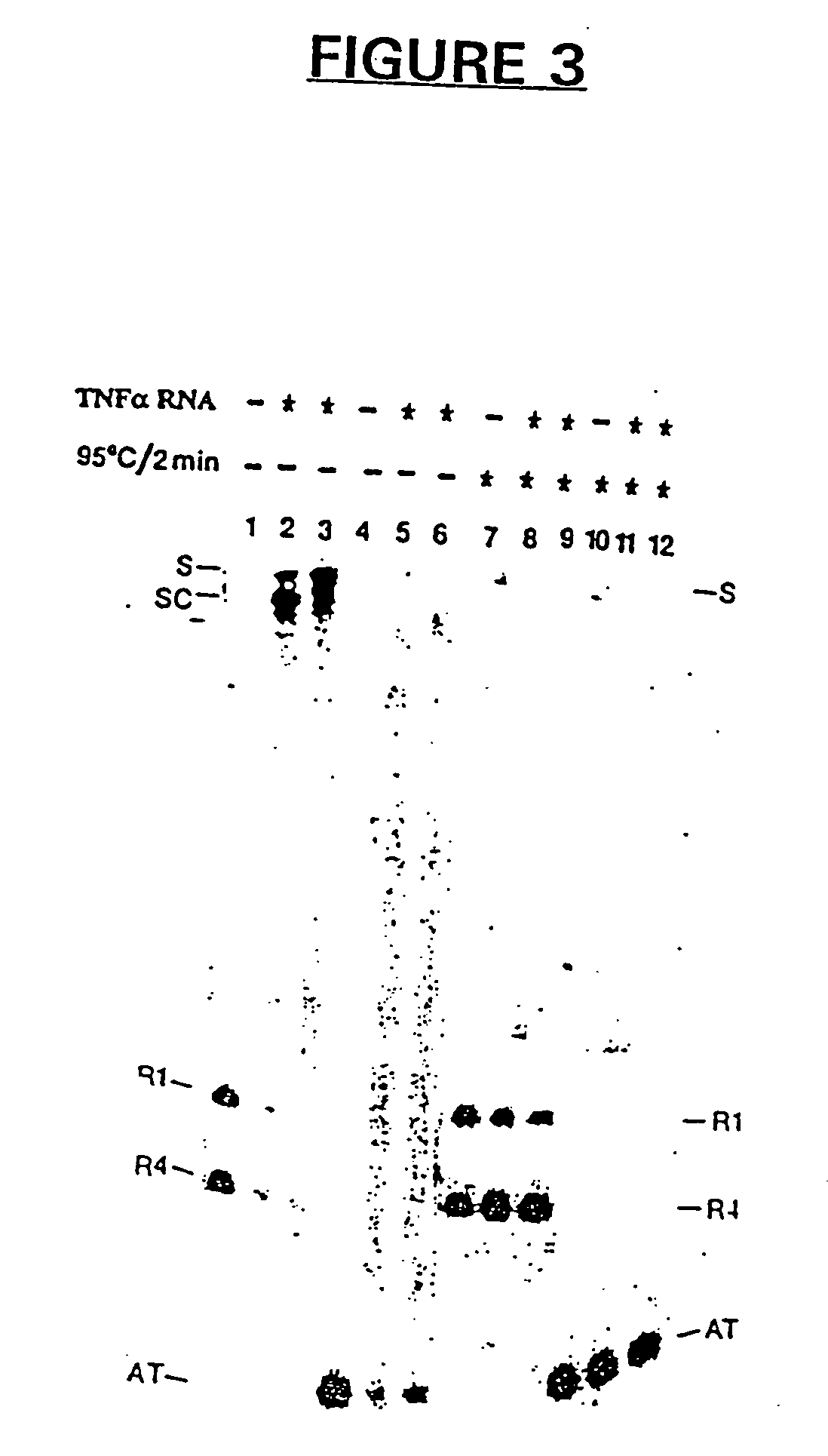 Antisense and antigene therapeutics with improved binding properties and methods for their use