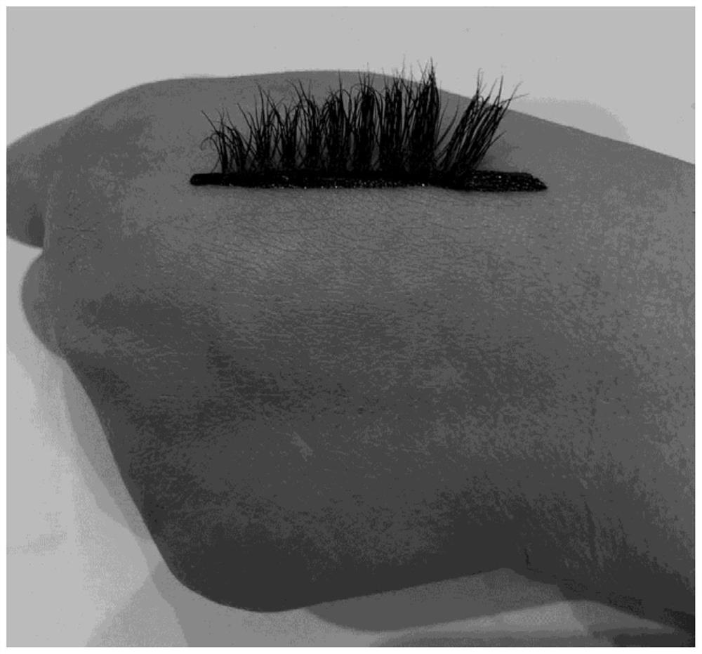 Tearable viscous eyeliner liquid capable of being used for sticking false eyelashes, and preparation method and application of tearable viscous eyeliner liquid