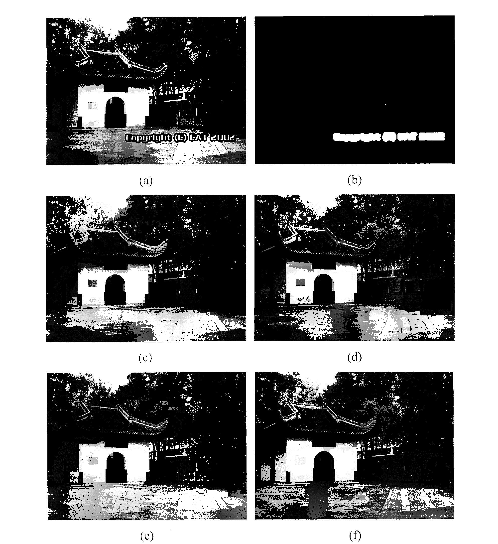 Texture synthesis and image repair method based on wavelet transformation