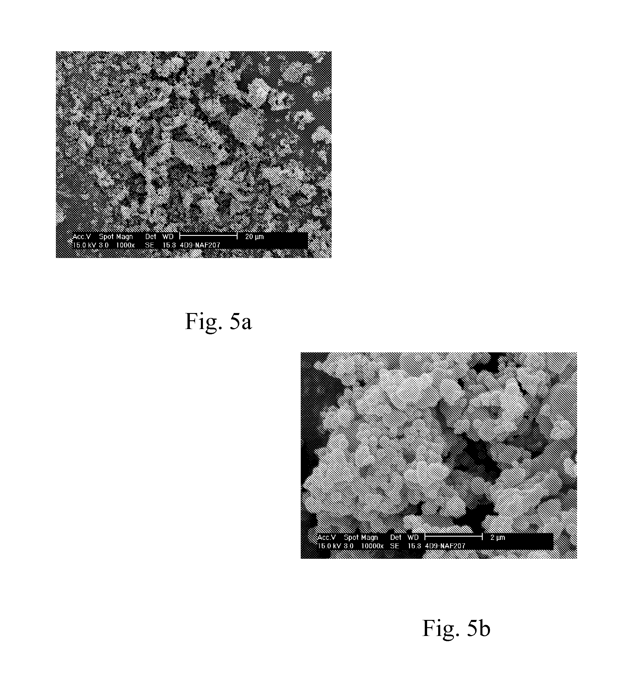 Novel polysaccharide-based pigments and fillers