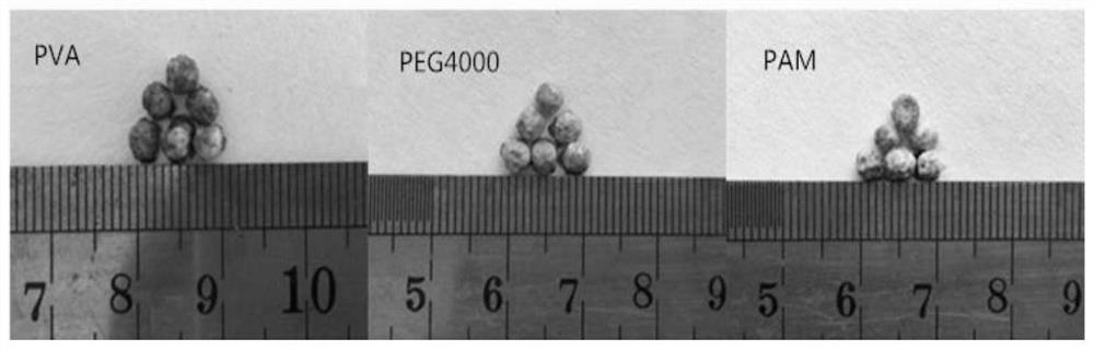 Slow-release fertilizer wrapped in microalgae or algae residue and preparation method thereof