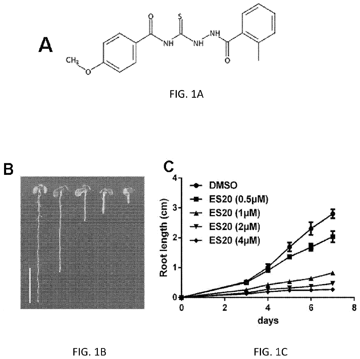 Cellulose synthase inhibitors as a new class of herbicide and non-gmo crops that are resistant to the herbicide