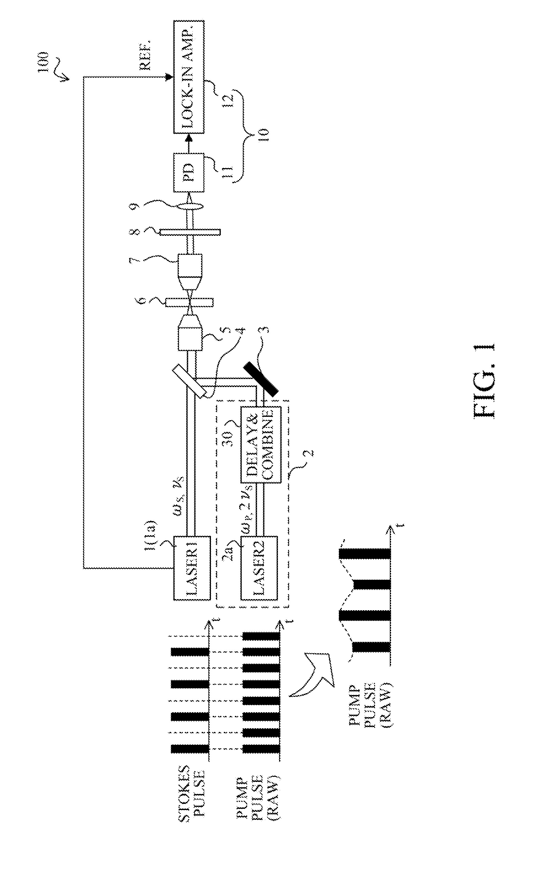 Stimulated raman scattering detection apparatus