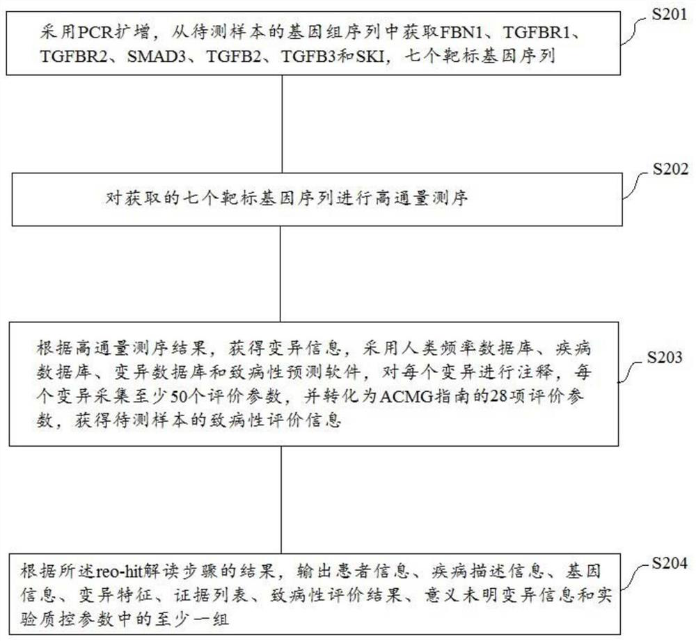 Marfan syndrome, related gene detection method and device and storage medium