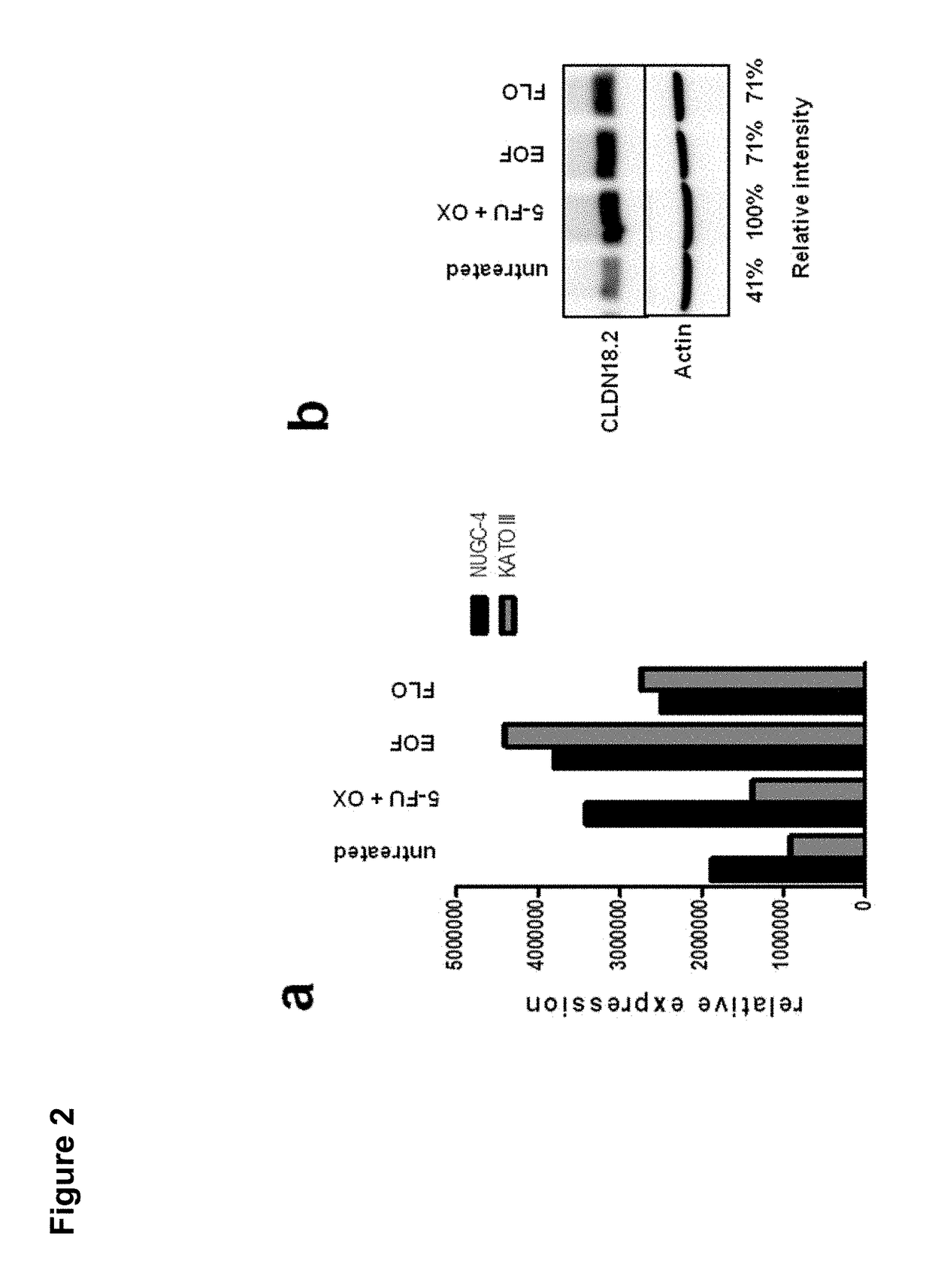 Combination therapy involving antibodies against claudin 18.2 for treatment of cancer