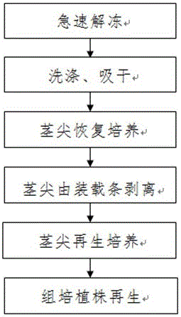 Method for ultralow-temperature storage and renewal cultivation of wild rice stem tips