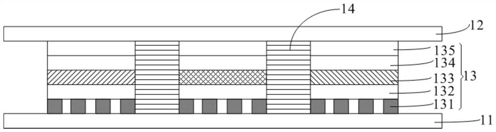 OLED display panel and display device