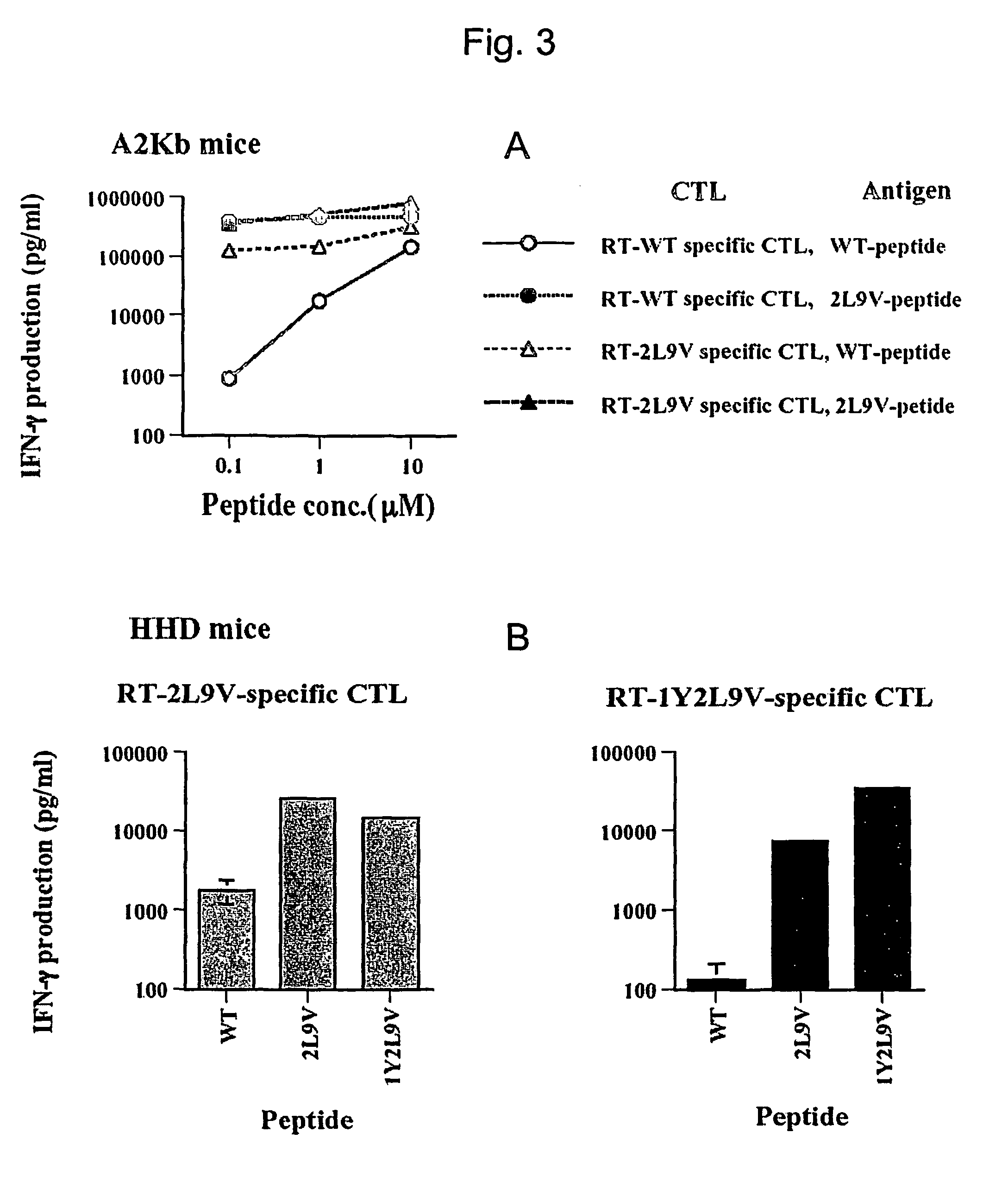 Enhanced CTL epitope-containing HIV-1 reverse transcriptase polypeptides