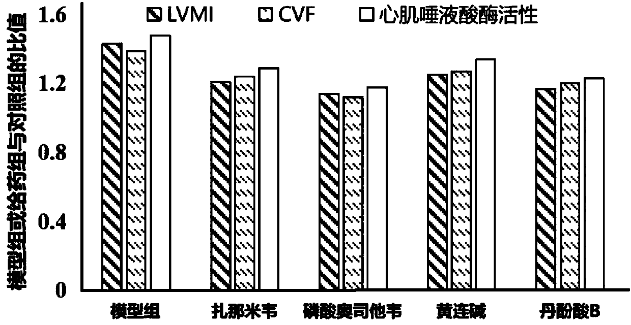 Application of neuraminidase and inhibitors thereof in preparation of drugs for treating myocardial fibrosis and ventricular hypertrophy
