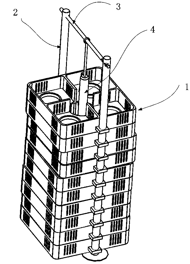 Rapid culture device and culture method for oyster monomer