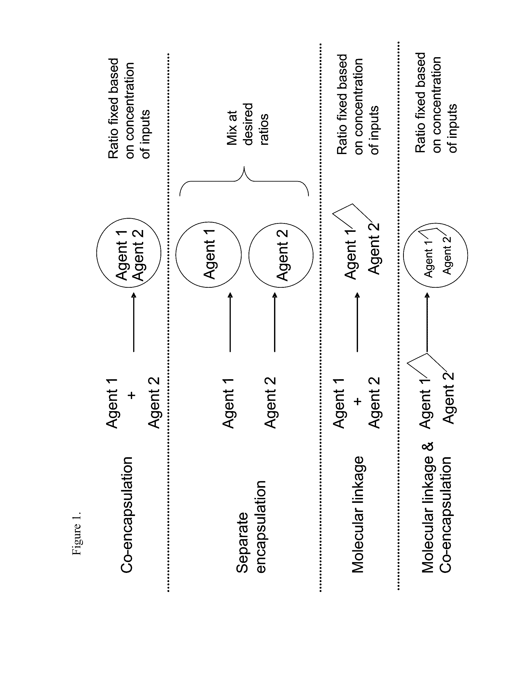 METHODS AND COMPOSITIONS FOR IMPROVED THERAPEUTIC EFFECTS WITH siRNA