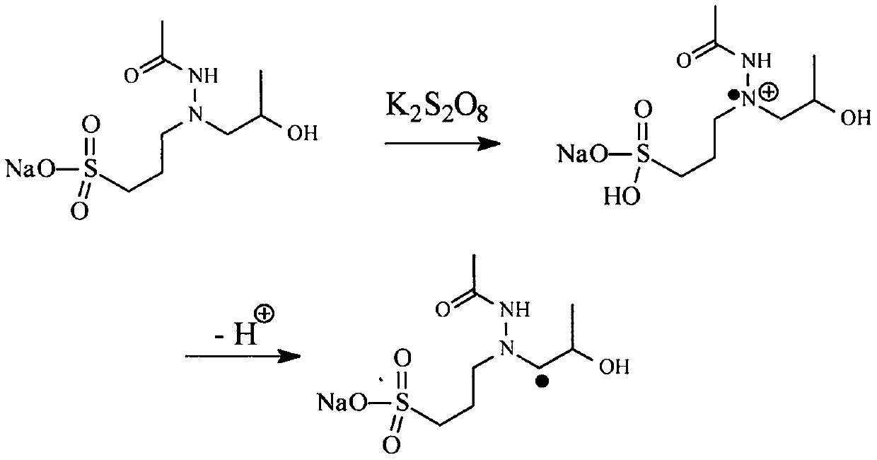 Iso-octanoyl hydrazide sodium sulfonate initiator and preparation method thereof