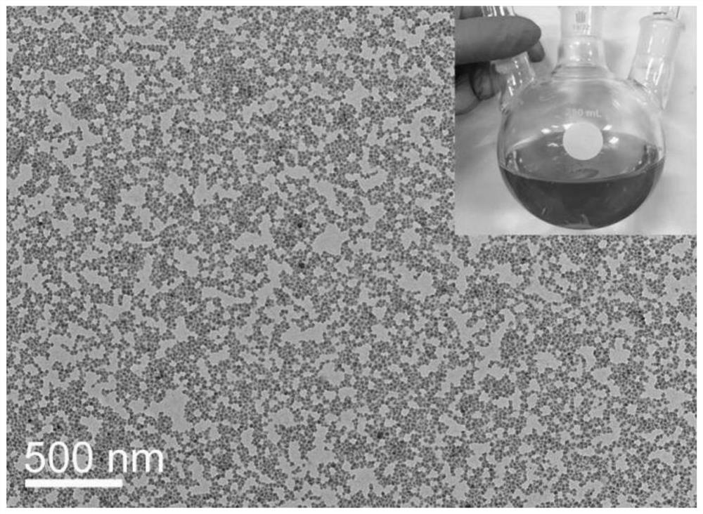 Magnetic resonance imaging nano contrast agent and its preparation method and application