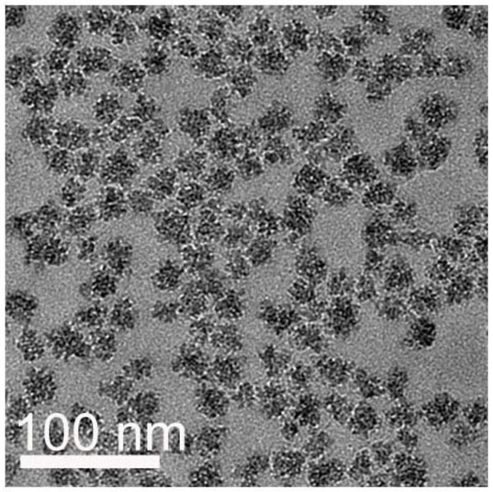 Magnetic resonance imaging nano contrast agent and its preparation method and application